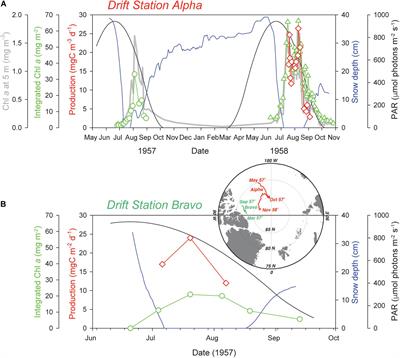 Under-Ice Phytoplankton Blooms: Shedding Light on the “Invisible” Part of Arctic Primary Production